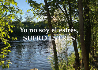 Yo no soy el estrés, sufro estrés: Cómo Transformar el Estrés en una Herramienta de Éxito